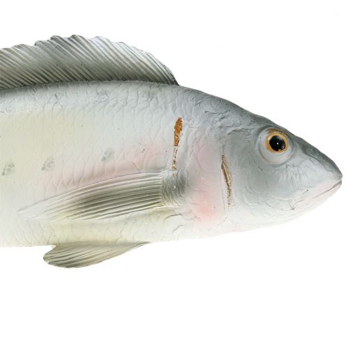 Floristik24 Poleiro de peixe decorativo L27,5 cm