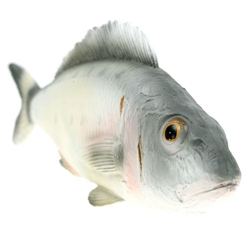 Floristik24 Poleiro de peixe decorativo L27,5 cm