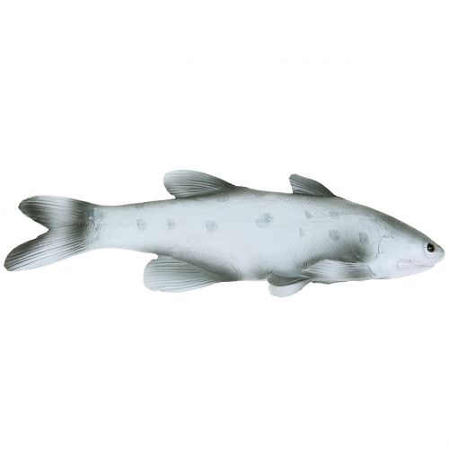 Floristik24 Peixe Deco C24cm