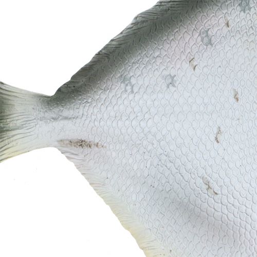 Floristik24 Peixe Deco L21cm