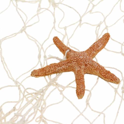 Floristik24 Rede de pesca com decoração de mar poliresina natural 150×200cm para decoração de parede