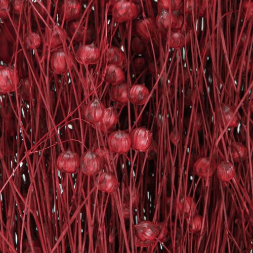 Floristik24 Linho Bordeaux Vermelho Decoração Seca Flores Secas C 55cm 80g