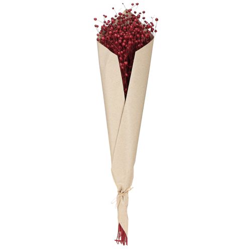 Itens Linho Bordeaux Vermelho Decoração Seca Flores Secas C 55cm 80g