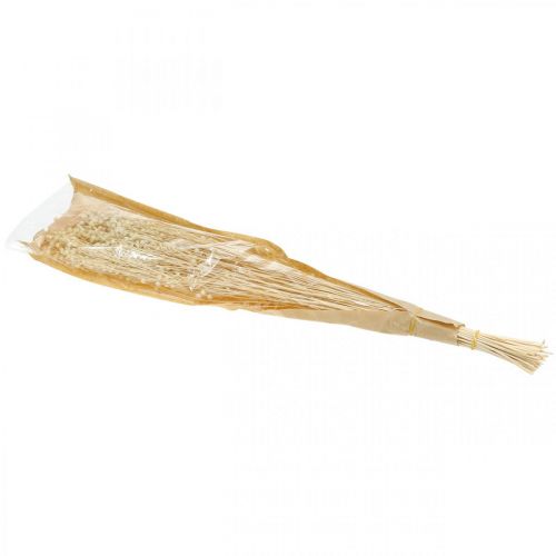 Itens Linho branqueado, gramíneas secas para floricultura, 52 cm, 160 g