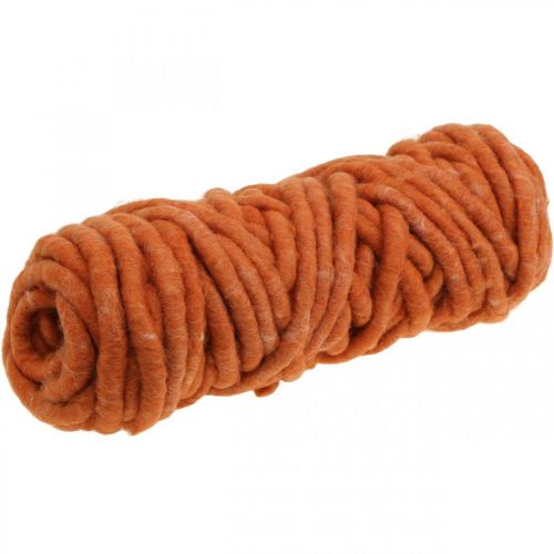 Floristik24 Cordão de feltro, cordão de lã, cordão de feltro, lã de ovelha, juta, laranja, L30m