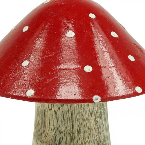 Floristik24 Fly agaric deco cogumelo de madeira decoração de outono madeira 10×8cm