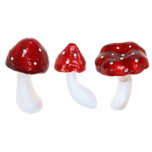 Floristik24 Conjunto decorativo de agárico com mosca vermelho, branco 6–7 cm 12 unidades
