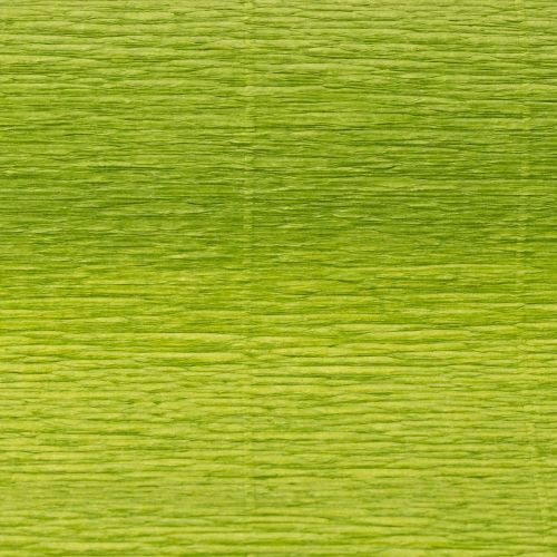 Itens Papel crepom florista verde grama 50x250cm