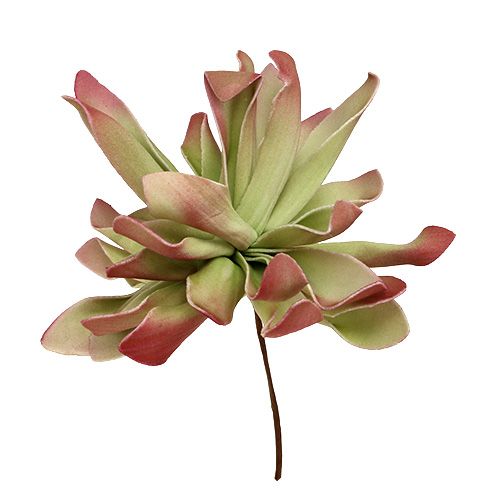 Floristik24 Flor de espuma Ø12cm verde / vermelho 6 unidades
