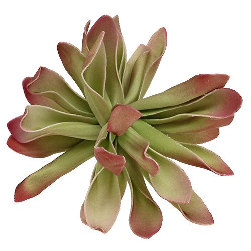 Floristik24 Flor de espuma Ø12cm verde / vermelho 6 unidades