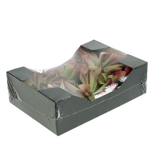 Floristik24 Flor de espuma Ø12cm verde / vermelho 6 unidades
