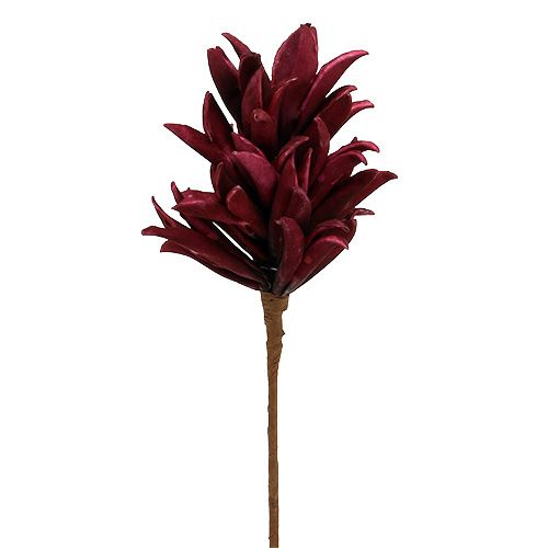 Floristik24 Flor de espuma Bordeaux 14cm L66cm
