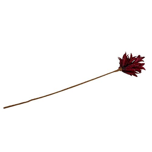 Floristik24 Flor de espuma Bordeaux 14cm L66cm