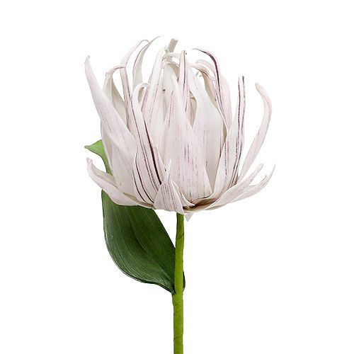 Flor de espuma branca, roxa 12cm L30cm 1p