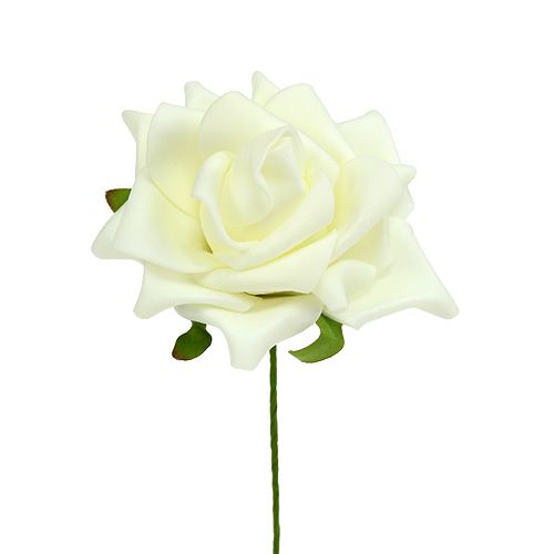 Floristik24 Rosa de espuma Ø7,5cm creme 18 unid.