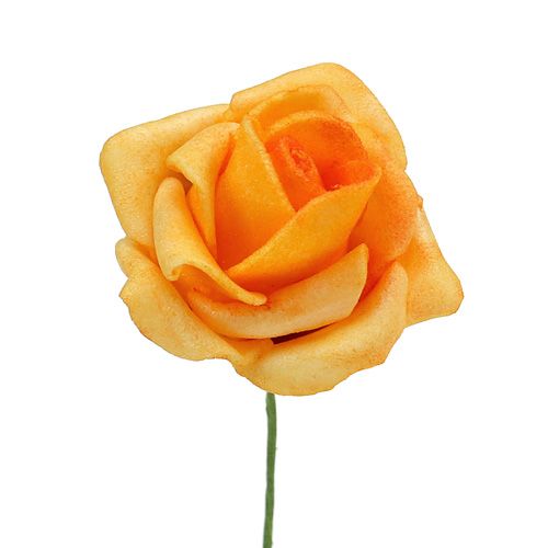 Floristik24 Espuma Rosa Ø 3,5cm Damasco 48 un
