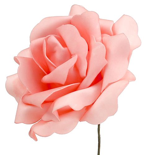 Floristik24 Espuma Rosa Espuma Rosa Salmão Ø15cm 4 un