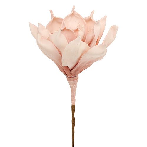 Floristik24 Flor de magnólia rosa de espuma Ø15cm C65cm