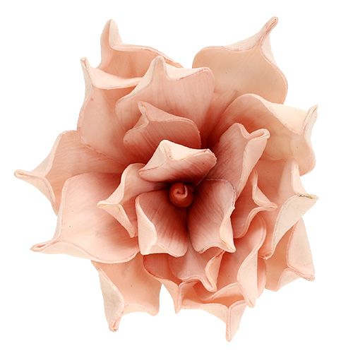 Itens Flor de magnólia rosa de espuma Ø15cm C65cm