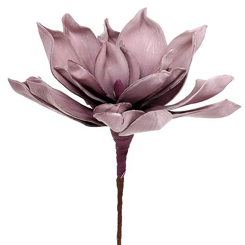 Floristik24 Flor de espuma Magnolia Berry Ø15cm C 67cm