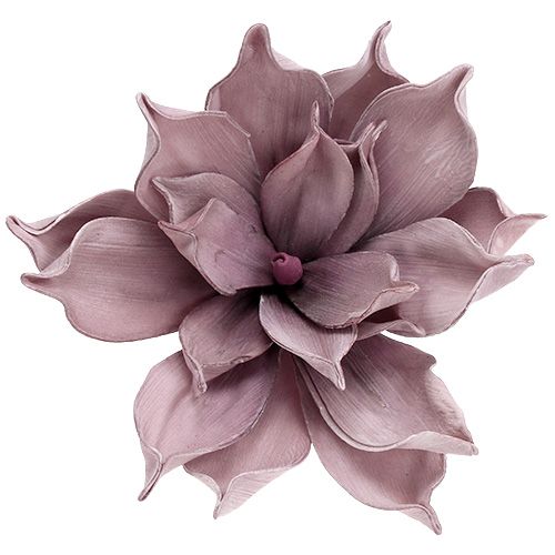 Floristik24 Flor de espuma Magnolia Berry Ø15cm C 67cm