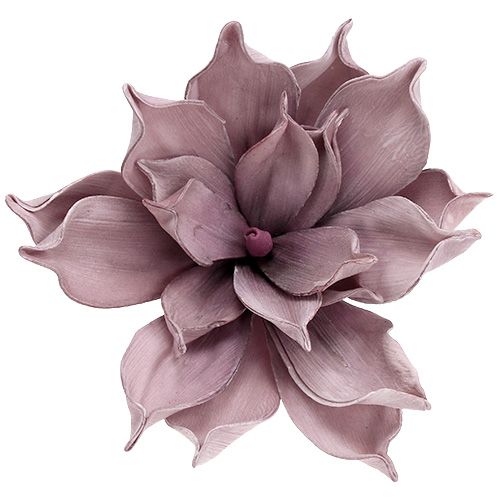 Itens Flor de espuma Magnolia Berry Ø15cm C 67cm