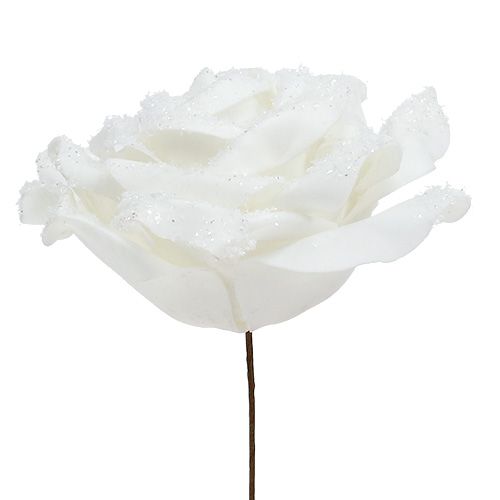 Floristik24 Espuma rosa branca Ø10cm coberto de neve 6 unidades