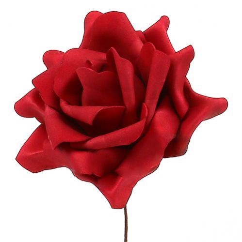 Floristik24 Espuma rosa espuma rosa vermelha Ø15cm 4 unidades