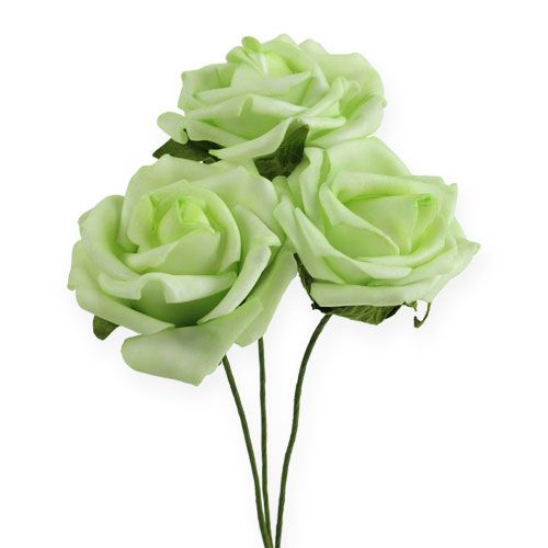 Floristik24 Espuma rosa Ø 6cm verde 27p