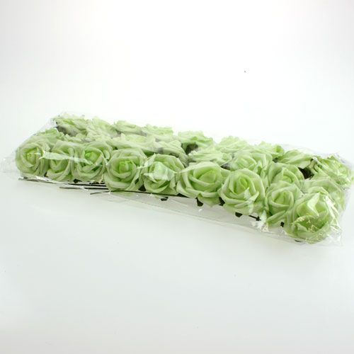 Floristik24 Espuma rosa Ø 6cm verde 27p