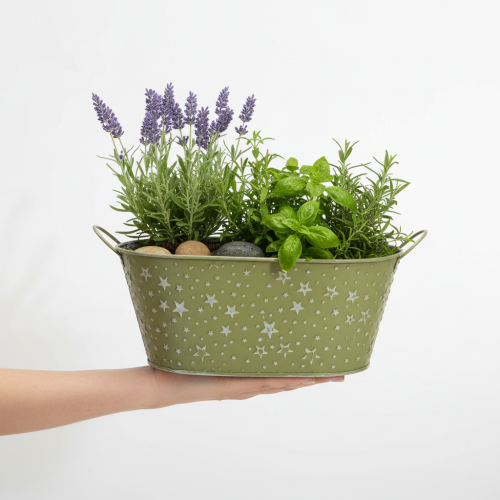 Itens Tigela oval de metal com estrelas e alças, verde, 31×16cm, A12,5cm