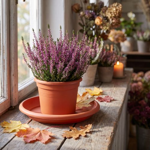 Base para copos “Linda” Ø24cm terracota | Floristik24.pt