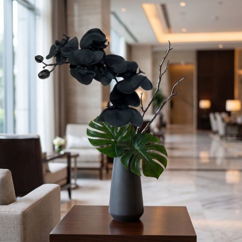 Orquídea para decorar Preto 54cm | Floristik24.pt