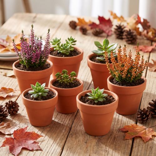 Vaso de barro para flores, Ø5cm, altura 4cm, 10 peças | Floristik24.pt