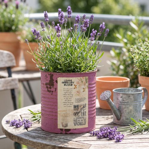 Vaso decorativo vintage em metal roxo, decoração de verão, Ø11cm A10,5cm | Floristik24.pt