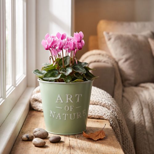 Itens Vaso de zinco para flores, verde menta, Ø15cm, A13,5cm