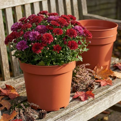 Vaso de plástico Ø23cm 10 unidades | Floristik24.pt