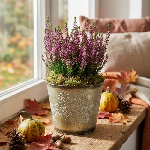 Plantador para outono, balde de metal com decoração de folhas, recipiente de metal dourado Ø14cm Alt.12,5cm | Floristik24.pt