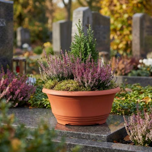 Vaso de plástico para plantas Ø20cm vaso de flores terracota 5 peças | Floristik24.pt