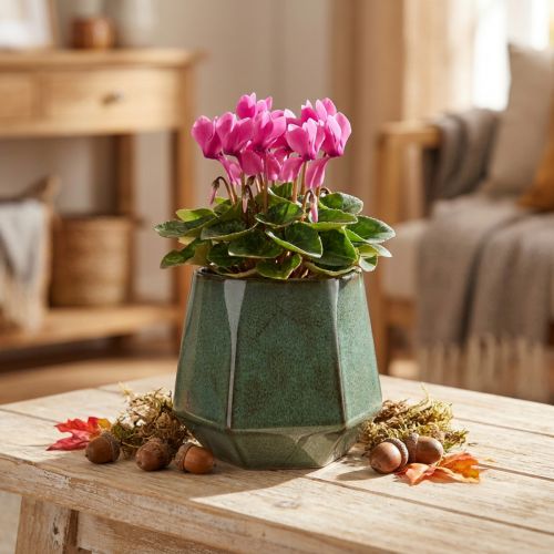 Vaso de cerâmica verde hexagonal Ø10cm Alt.9cm | Floristik24.pt