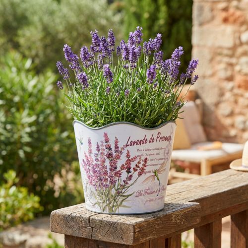 Vaso de plástico para flores verão lavanda Ø16,5cm Alt.13,5cm | Floristik24.pt