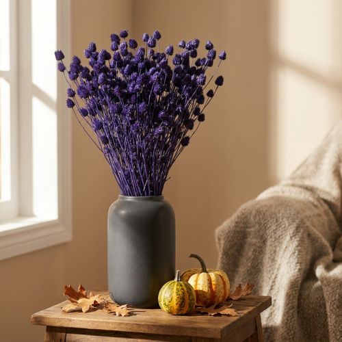 Cardo Morango Cardo Seco Cardo Decoração Violeta 44-58cm 100g | Floristik24.pt