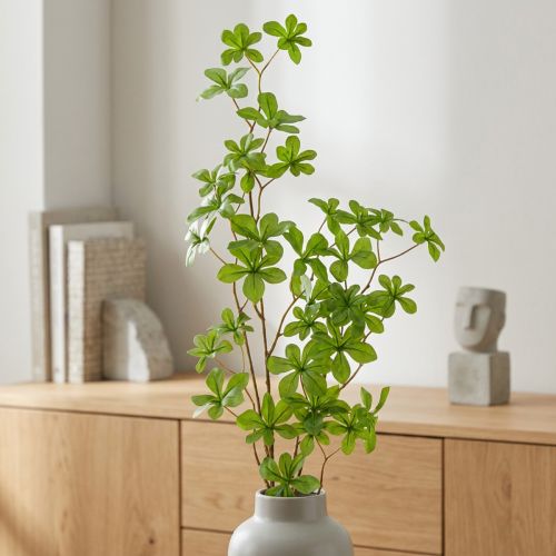 Ramo artificial de Schefflera,