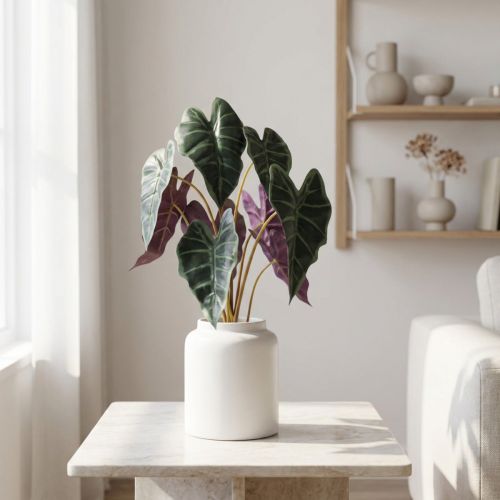Folha de flecha de alocasia verde, planta artificial violeta Alt.48cm | Floristik24.pt