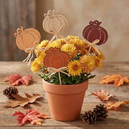 Estacas de madeira em formato de abóbora para flores, com acabamento em laranja e natural, 6,5 x 7 cm, pacote com 12 peças. | Floristik24.pt