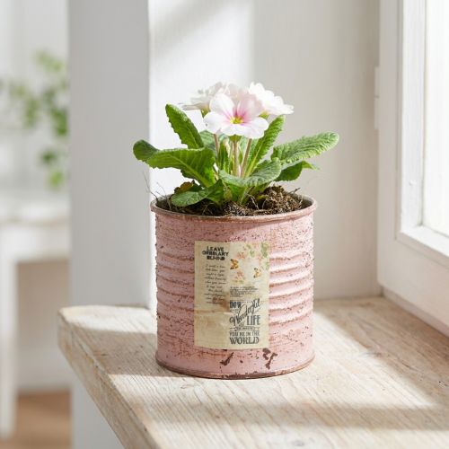 Vaso de flores decorativo redondo de metal estilo antigo com rosas, Ø8cm A7,5cm | Floristik24.pt