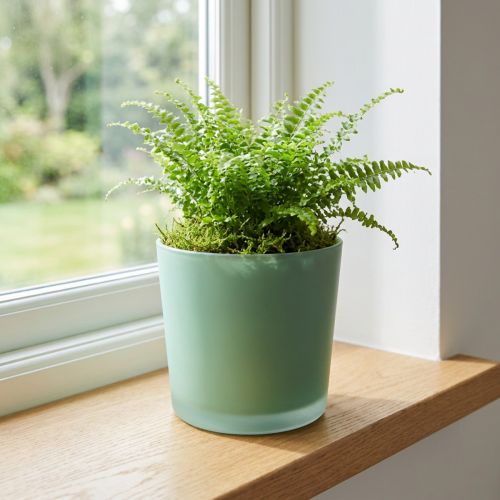 Vaso de flores de vidro plantador verde banheira de vidro Ø11.5cm H11cm | Floristik24.pt