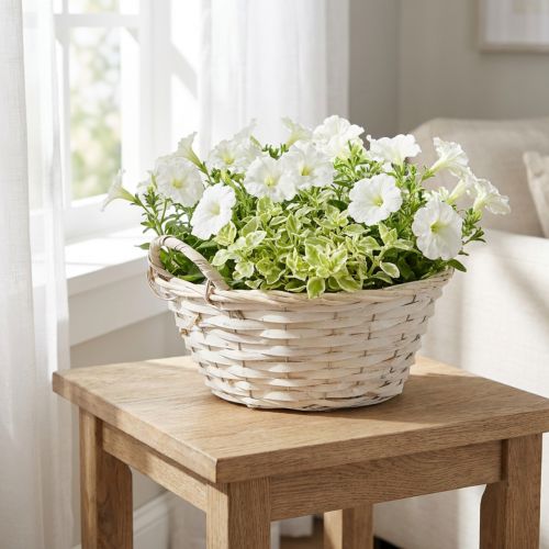 Cesto com alças, cesto de madeira compensada, cesto para plantas, branco, vintage, decorativo, Ø35cm | Floristik24.pt