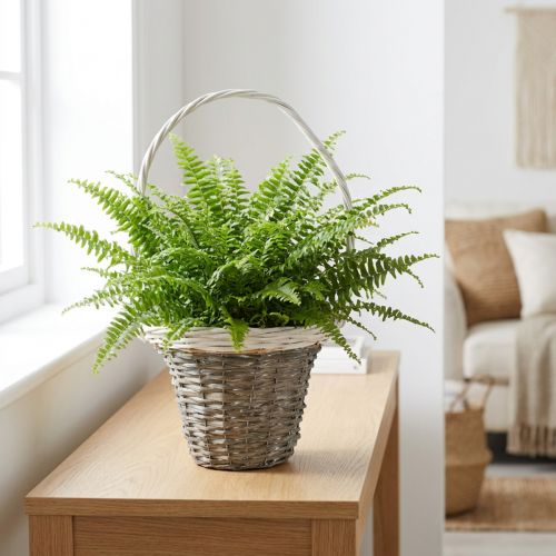 Cesto de vime com alça, cinza e branco, Ø25 cm, A45 cm, cesto decorativo para plantas | Floristik24.pt