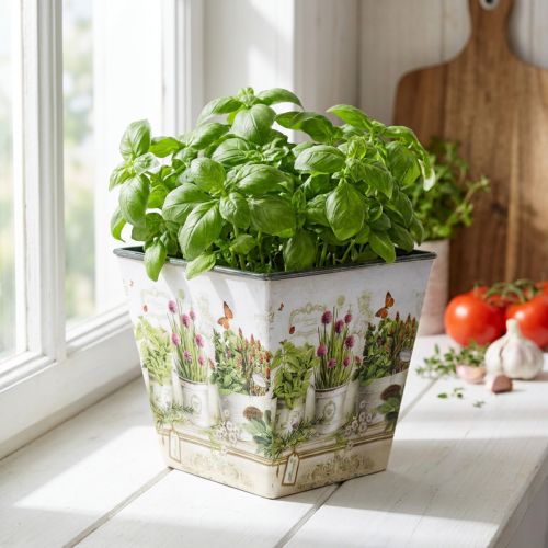 Vaso de ervas, floreira com motivo, floreira Alt.13cm L13,5cm | Floristik24.pt